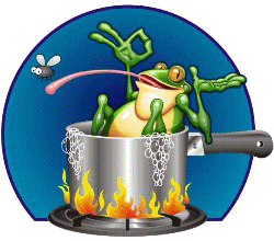 Frog in the Kettle